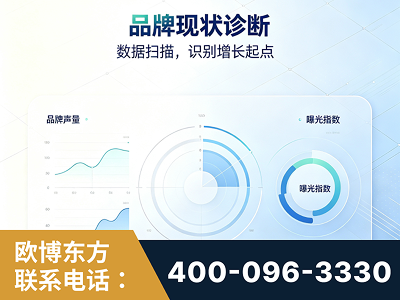 娄底-品牌现状诊断