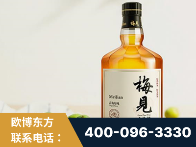 娄底-梅见青梅酒